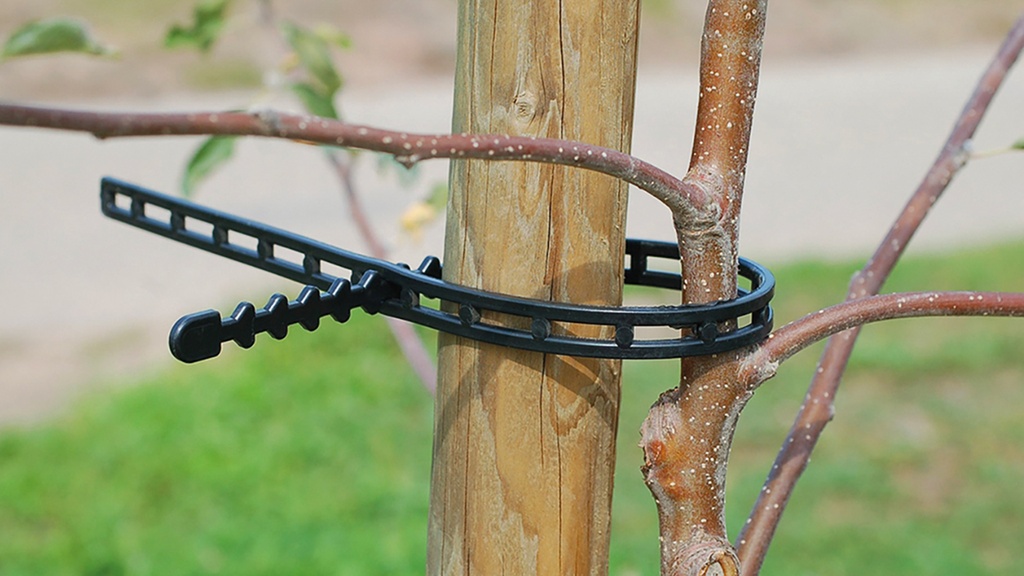 Attache pour troncs d’arbre, longueur 420 mm, 100 pièces