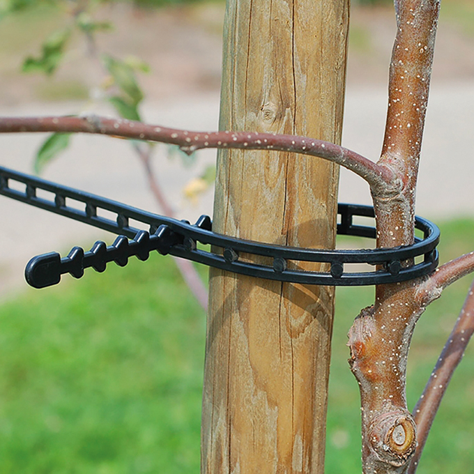 Stammband, 420 mm lang, Beutel à 100 Stück