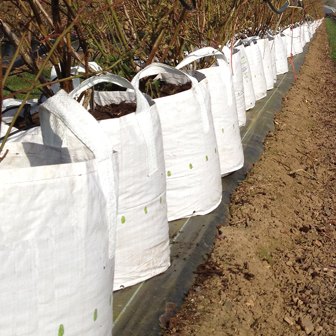 Conteneur pépinière White Bag 250 lt