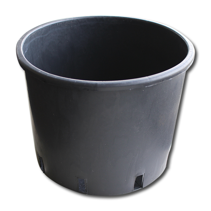 Conteneur pépinière noir 20 lt, forme basse