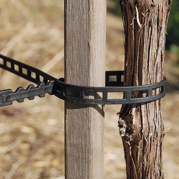 Attache pour vignes, longueur 360 mm, sachet de 250 pièces