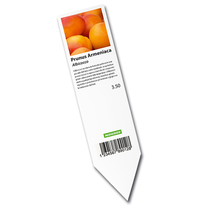 Laser-Stecketiketten weiss, 40 x 160 mm, 1'250 Etiketten