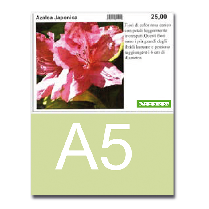 Étiquettes A5 pour imprimante laser blanche, 210 x 148 mm, 250 étiquettes