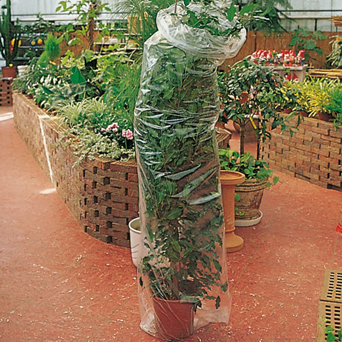 Feuille en plastique, largeur 60 cm, rouleau de 290 m