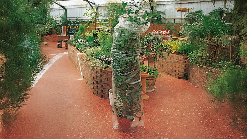 Schlauchfolie transparent, 60 cm breit Rolle à 290 m