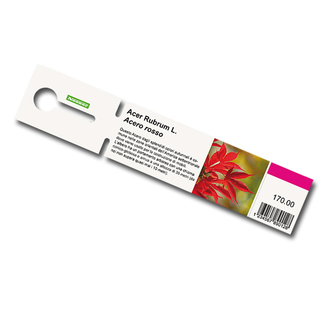 Étiquettes à boucle pour imprimante laser blanche, 25 x 250mm, 2'000 étiquettes