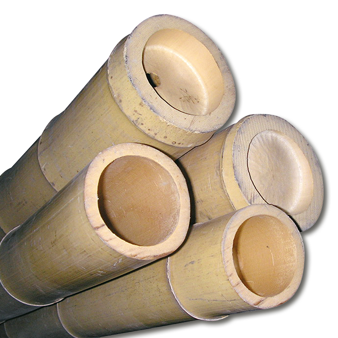 Bâtons de bambou pour la décoration 300 cm ø 80/100 mm, écru
