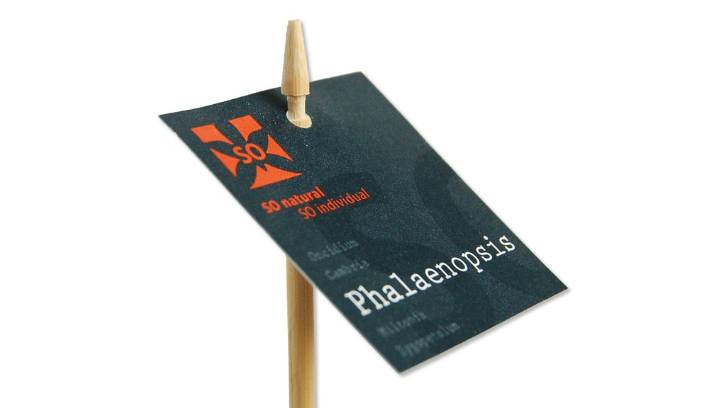 Etikettenstab «Bambus» 21 cm