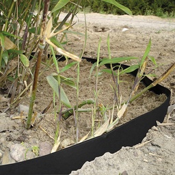 [137.350] Rhizomsperre HDPE 2 mm, 25 m lang, 70 cm breit