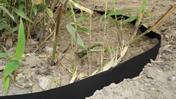 [137.355] Rhizomsperre HDPE 2 mm, 25 m lang, 100 cm breit