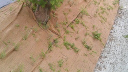 [137.430] Erosionsschutzgewebe 210 g/m², 50 m lang, 200 cm breit