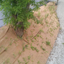 [137.430] Tissu en jute pour la protection des talus, 210 g/m², longueur 50 m, largeur 200 cm