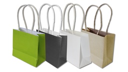 [250.350.13] Papiertasche «Miniplant» Kraftpapier braun/natur mit PE-Beschichtung, 14/6 x 12 cm