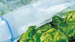 [135.040] Toison de bâche COVERTAN PRO 17 g/m², longueur 250 m, largeur 675 cm