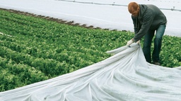 [135.170] Toison de bâche LUTRASIL PRO 19 g/m², longueur 250 m, largeur 425 cm