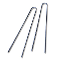 [203.970] Efeunadeln 10 / 80 mm, Karton à 2.5 kg