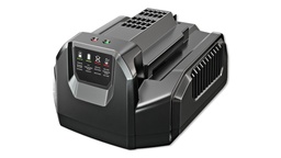 [534.3101.402] EGO Standard-Ladegerät