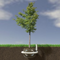 [202.760] Komplett-Set: 10 m Dränrohr DN 80, 1 T-Stück, 1 Endkappe