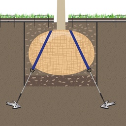 [202.840] Wurzelballenverankerung mit Erdanker, Baumhöhe 4.5-7 m