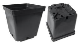 [230.250] Kakteen-Container schwarz 16 x 16 x 16 cm, 96 Stück