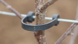 [203.410] Stammhalter, 100 mm, für Draht 2.0-2.2 mm Ø