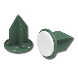 [231.465] OASIS® Pini KL 50 Stück