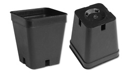 [230.195] Kakteen-Container schwarz 5 x 5 x 6 cm, 2700 Stück
