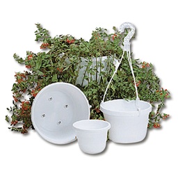 [233.420.1] Blumenampeln PRINCESS weiss, 20 cm ø