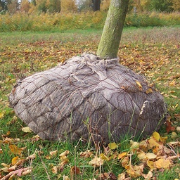 [202.085] Balliergewebe PLANTATEX 100 cm breit, Rolle à 100 m