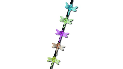 Orchideen Clip Libelle Farbe orange