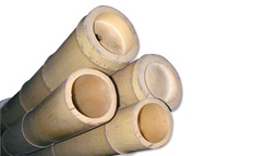 [239.810] Bâtons de bambou pour la décoration 300 cm, ø 70/80 mm, écru