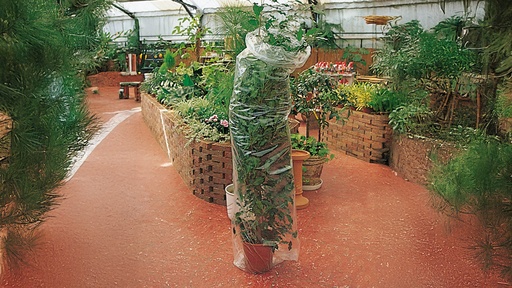Schlauchfolie transparent, 60 cm breit Rolle à 290 m