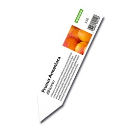 [403.526] Étiquettes à ficher pour imprimante laser blanche, 25 x 115 mm, 2'000 étiquettes