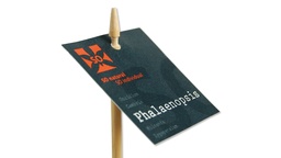 [420.121.B] Etikettenstab «Bambus» 21 cm